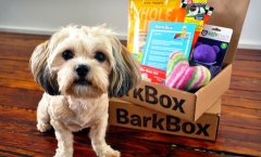 宠物狗服务公司Barkbox融资670万美元：赚钱已赚的合不拢嘴了