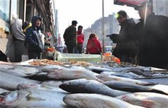 青岛一天1500吨海鲜上市 七成来自外地价格高