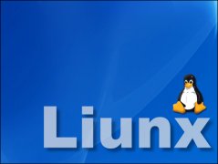 掌握Linux系统的初学者应该明白的几个关键要素