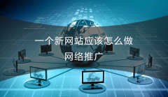 一个新网站应该怎么做网络推广